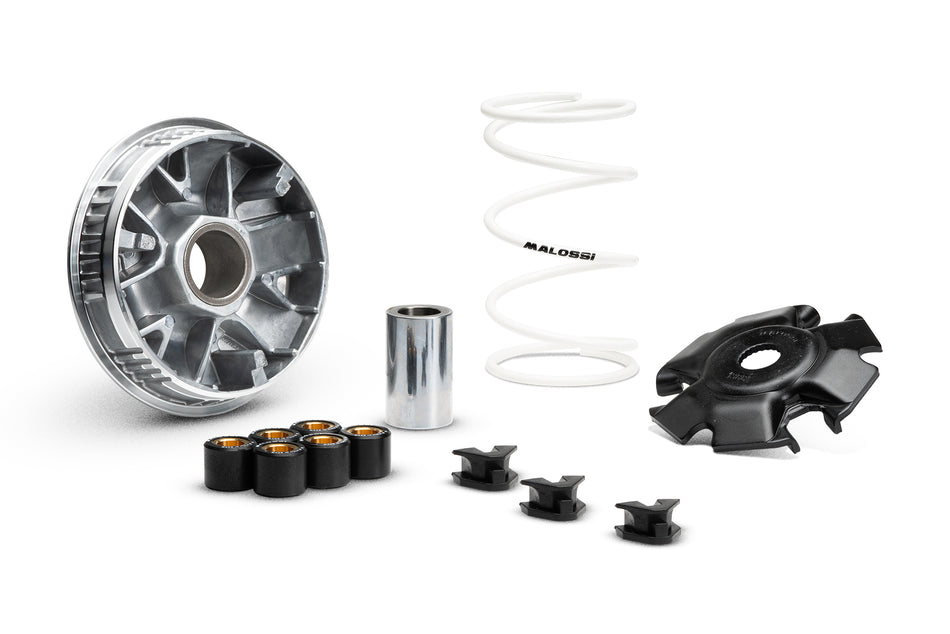 VARIATORE MALOSSI GTS 310/BEVERLY 310 COD.5120216
