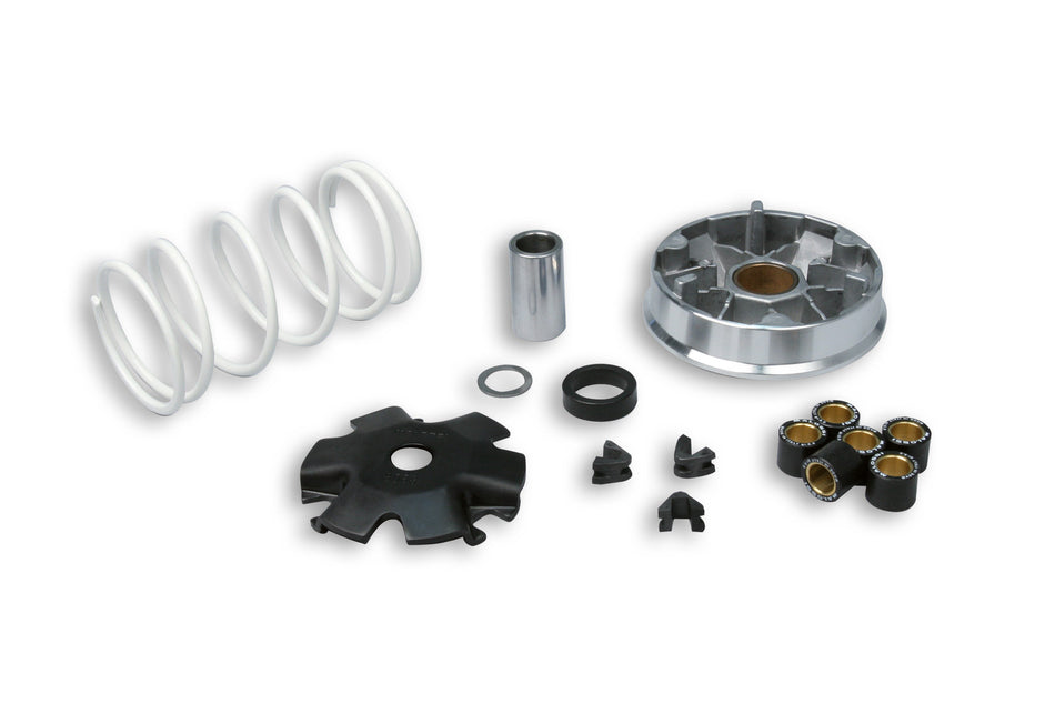 VARIATORE MALOSSI AGILITY 50 4T COD.5113790