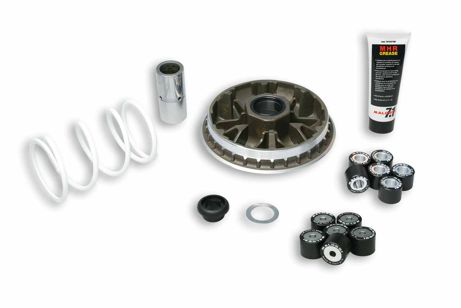 VARIATORE MALOSSI SH 300/ FORZA 300 COD.5114192