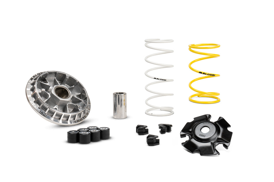 VARIATORE MALOSSI SH 125/150 DAL 2013/2019 COD.5119875