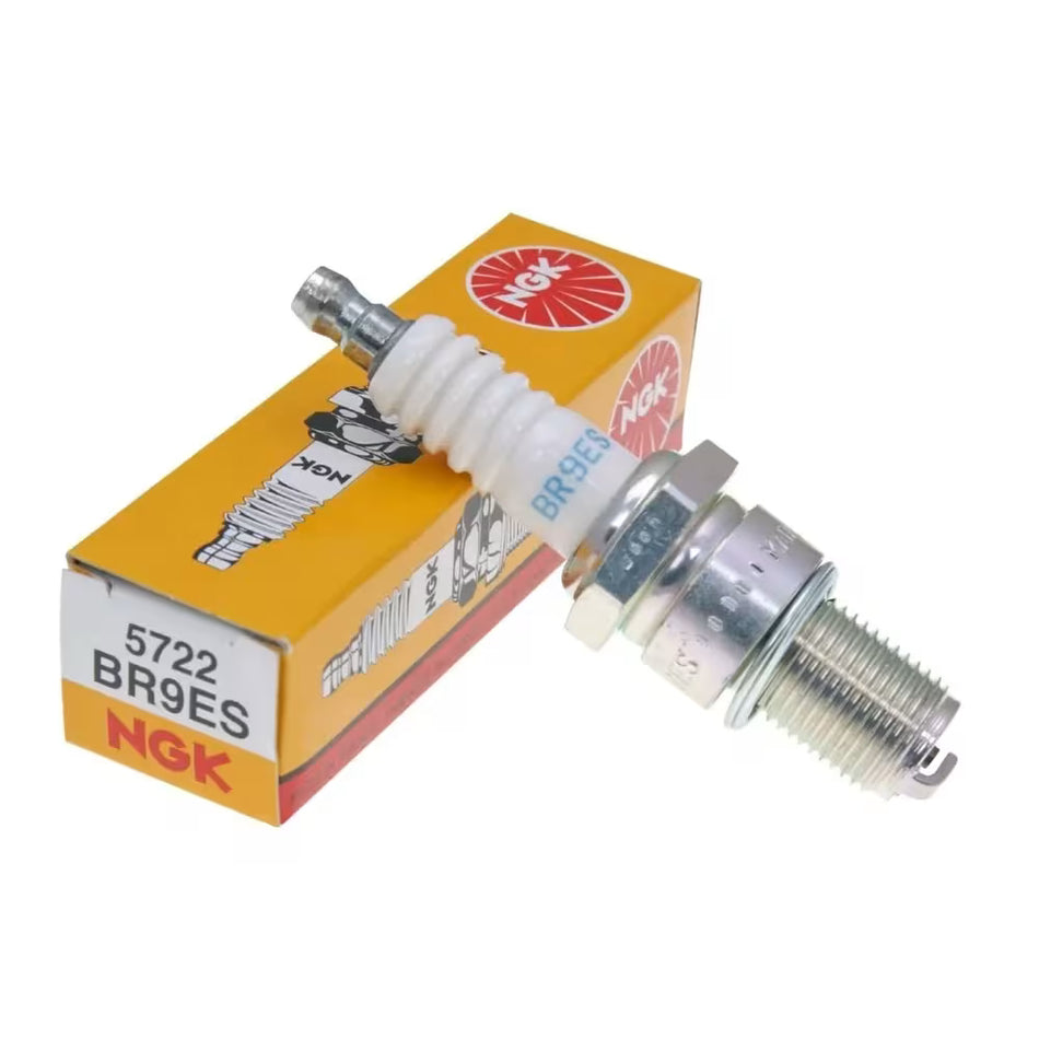CANDELA ORIGINALE NGK BR9ES
