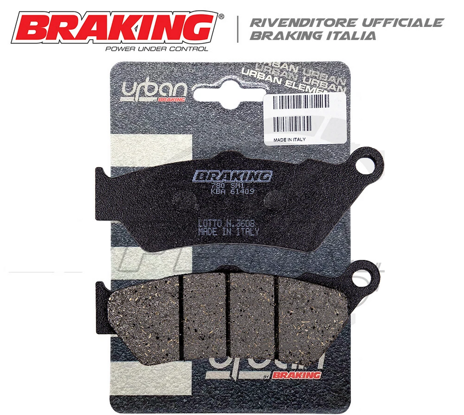 Pastiglie KTM 690 Enduro R 2021 > 2024 (Anteriori BRAKING)